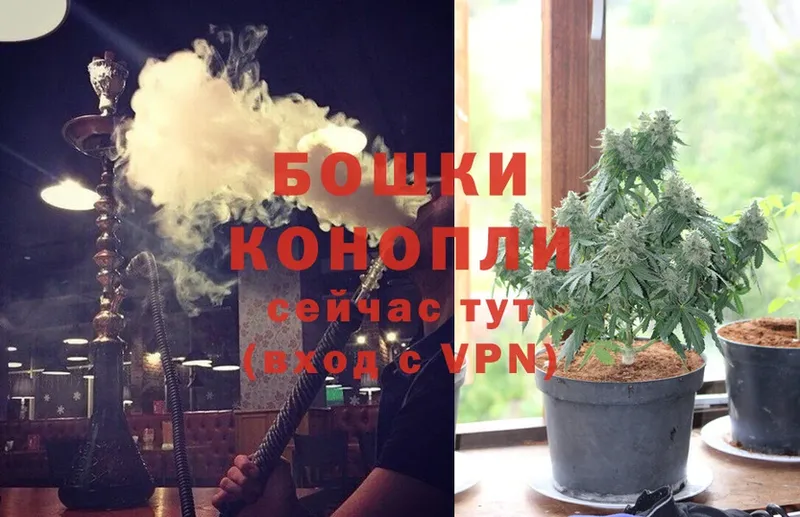 мега ONION  Кировск  Канабис Ganja  купить наркоту 